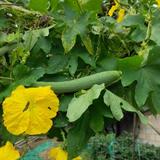 我是骄傲的尘爱头像