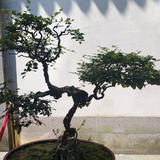 用户4093361539432头像