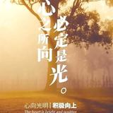 Timeless7348头像