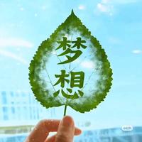 雨中漫步939头像