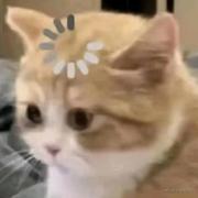 TerakAwa的个人资料头像