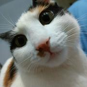 星辰53的个人资料头像