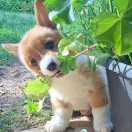 zha的个人资料头像