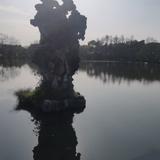 执着的香瓜ew头像