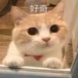 二进制之龙的个人资料头像