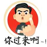 骑着单车飙歼20头像