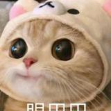 命理学徒头像