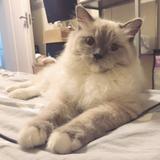 一脚底板油头像