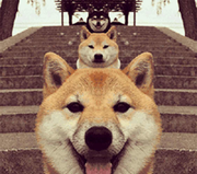 哔哔哔的个人资料头像