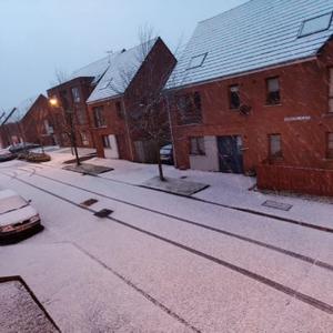 苏珊在英国北爱尔兰头像