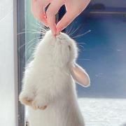 Mayiss的个人资料头像