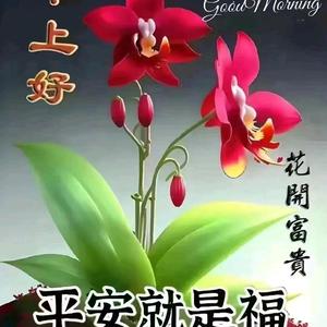 大唐统一(州古)头像