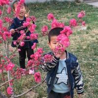 独醉清鋒头像