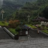 宇琴排挡头像
