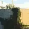 且尽生前有限杯的个人资料头像