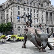 半个茄子的个人资料头像