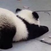 不简单621的个人资料头像