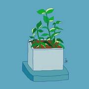 Symbol__的个人资料头像