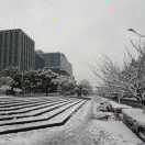 本历年加油的个人资料头像