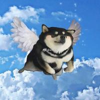 Вurplein头像