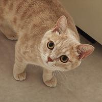 小鱼咸了啊头像