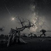 chaorancui的个人资料头像