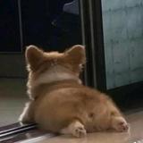 知者星球头像