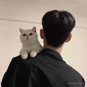 _前端小趴菜的个人资料头像