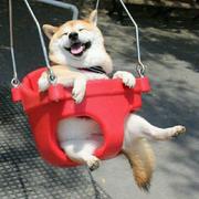 an_l的个人资料头像