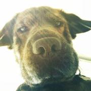 Android猫的于的个人资料头像