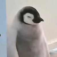 顺心顺意的车友车行头像