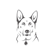 加勒比海狗的个人资料头像