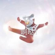 Rain955的个人资料头像