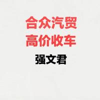 衡水强文君二手汽车头像