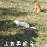 Chen36507头像