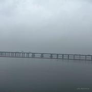 大山里的猎人的个人资料头像