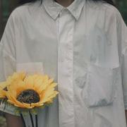 孤傲的玉米肠的个人资料头像