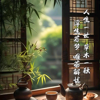 大数据下的炮灰头像