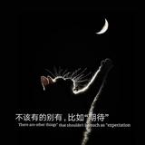 用户2647263411178686头像