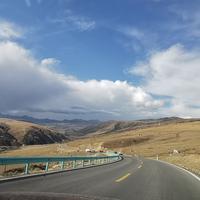 机智的鲸鱼vK头像