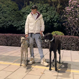 我艾我你头像