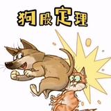 用户84174269头像