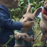 S浴巾香S头像