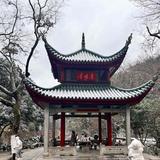 富足清风Ui头像