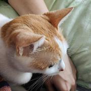 西瓜630的个人资料头像