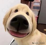 期待放假ing的个人资料头像