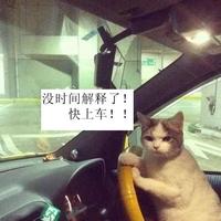 沒时间解释了快上車头像