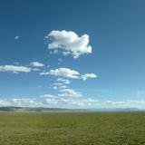 江城张无忌头像