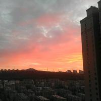 勤奋小牙刷头像