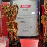 BOP保镖隐形车衣津南专营店头像